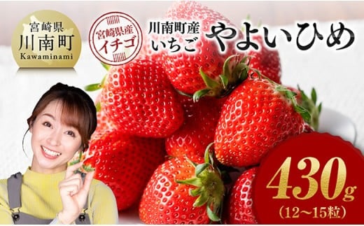 川南町産いちご「やよいひめ」430ｇ 【 期間限定 果物 イチゴ 苺 やよいひめ フルーツ 】[C11201]