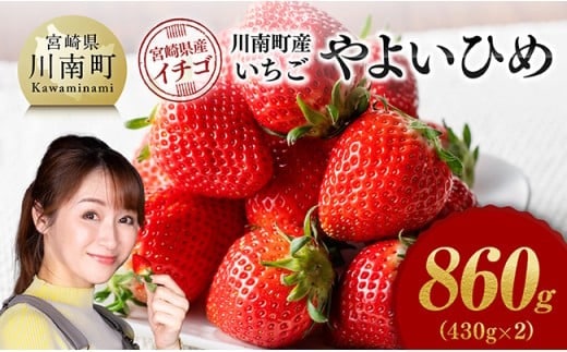 川南町産いちご「やよいひめ」860ｇ（430ｇ×2） 【 期間限定 果物 イチゴ 苺 やよいひめ フルーツ 】[C11202]