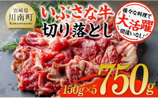 いぶさな牛切り落とし750g（150g×5パック） 【 宮崎県産 牛 切り落とし 黒毛和牛 】[D05303]