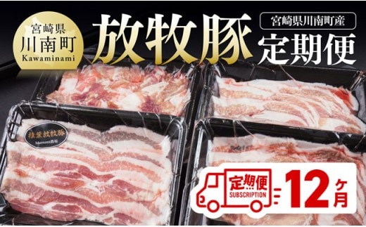 【12ヶ月定期便】宮崎県川南町産豚肉 放牧豚定期便 【 豚 肉 豚肉 国産 九州産 宮崎県産 川南町 加工品 セット 送料無料 】[C08108t12]