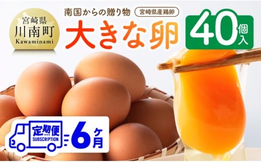 【6ヶ月定期便】宮崎県産鶏卵 「南国からの贈り物」大きな卵40個入り（35個+破損補償5個） 【 鶏卵 卵 鶏 たまご タマゴ 】 宮崎県川南町 [C01401t6]