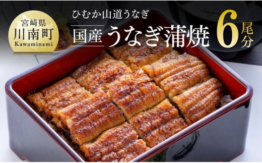 【名店の味！宮崎県産鰻】 ひむか山道うなぎ蒲焼６尾分（780ｇ以上） 【 魚介類 国産 鰻 惣菜 かば焼き 】 [B08413]