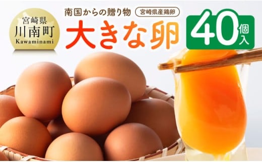 宮崎県産鶏卵 「南国からの贈り物」大きな卵40個入り（35個+破損補償5個） 【 鶏卵 卵 鶏 たまご タマゴ 】 宮崎県川南町 [C01401]