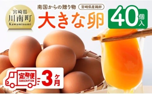【3ヶ月定期便】 宮崎県産鶏卵 「南国からの贈り物」大きな卵40個入り（35個+破損補償5個） 【 鶏卵 卵 鶏 たまご タマゴ 】 宮崎県川南町 [C01401t3]