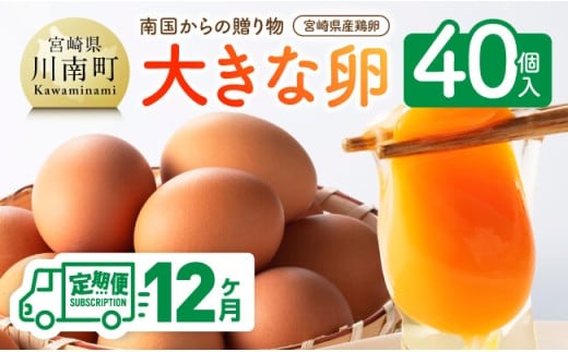 【12ヶ月定期便】宮崎県産鶏卵 「南国からの贈り物」大きな卵40個入り（35個+破損補償5個） 【 鶏卵 卵 鶏 たまご タマゴ 】 宮崎県川南町 [C01401t12]