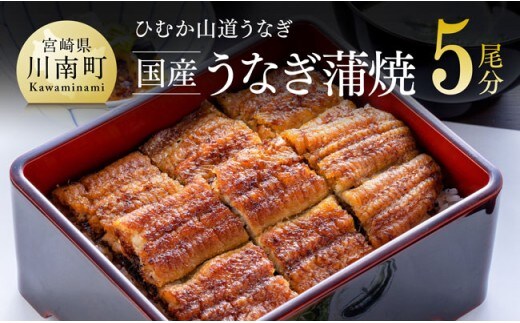 【名店の味！宮崎県産鰻】 ひむか山道うなぎ蒲焼５尾分（650ｇ以上） 【 魚介類 鰻 惣菜 かば焼き 】 [B08412]