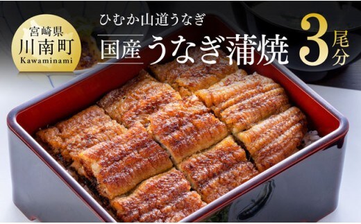 【名店の味！宮崎県産鰻】 ひむか山道うなぎ蒲焼 3尾分 (390g以上) 【 魚介類 鰻 惣菜 かば焼き 】 [B08411]
