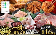 みやざき地頭鶏 1羽をまるごと堪能セット 約1.6kg 冷凍｜鶏肉 地鶏 モモ ムネ ササミ 手羽先 手羽元 レバー 砂肝 ガラ 1羽まるごと ロースト チキン じとっこ 真空パック 興洋開発株式会社 宮崎県 諸塚村 KY-17