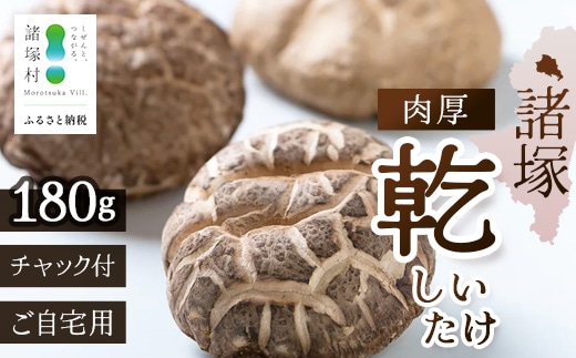 【世界初CoC認証取得！】宮崎県諸塚村産 乾しいたけ 肉厚 60g×3P 計180g 常温｜干ししいたけ どんこ 椎茸 冬菇 肉厚 お煮しめ お鍋 網焼き 原木栽培 CoC認証 高級 もろっこはうす MO-22