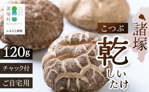 【世界初CoC認証取得！】宮崎県諸塚村産 乾しいたけ こつぶ 40g×3P 計120g 常温｜干ししいたけ どんこ 椎茸 冬菇 一口サイズ 酢漬け 手まり寿司 天ぷら 原木栽培 家庭用 もろっこはうす MO-24