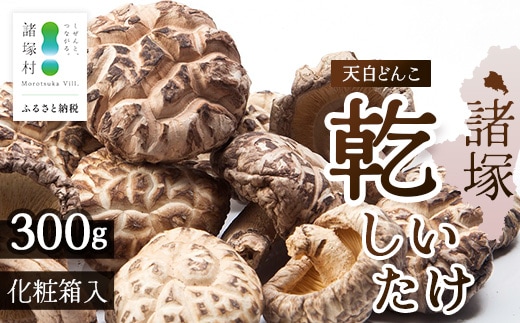 宮崎県諸塚村産 天白どんこ 約300g 化粧箱入り 常温｜干ししいたけ 椎茸 冬菇 肉厚 お煮しめ お鍋 網焼き 原木栽培 CoC認証 高級 希少 もろっこはうす MO-28