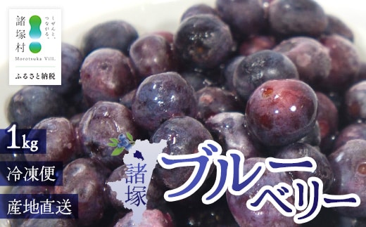 【数量限定】諸塚村産 冷凍ブルーベリー 約1kg｜ブルーベリー 果物 フルーツ 産地直送 スムージー ヨーグルト もろっこはうす 宮崎県 諸塚村 MO-34
