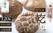 【世界初CoC認証取得！】宮崎県諸塚村産 乾しいたけ こつぶ 40g×3P 計120g 常温｜干ししいたけ どんこ 椎茸 冬菇 一口サイズ 酢漬け 手まり寿司 天ぷら 原木栽培 家庭用 もろっこはうす MO-24