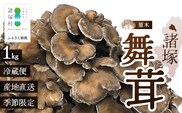 【先行予約】宮崎県諸塚村産 原木舞茸 1kg 数量限定［2026年10月下旬～11月中旬ごろにお届け］冷蔵｜マイタケ きのこ キノコ 原木まいたけ 産地直送 秋の味覚 もろっこはうす 宮崎県 諸塚村 MO-29