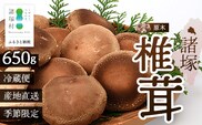 【先行予約】宮崎県諸塚村産 原木生椎茸 約650g［2026年9月～11月ごろにお届け］冷蔵｜しいたけ 生シイタケ きのこ キノコ 原木しいたけ 産地直送 秋の味覚 もろっこはうす MO-30