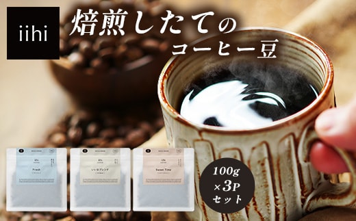 【ふるさとロースターが焙煎したてをお届け！】iihiコーヒー コーヒー豆 100g×3P セット 常温｜コーヒー 珈琲 コーヒー豆 ブレンドコーヒー 自家焙煎 詰め合わせ 飲み比べ 中深煎り 焙煎 ギフト プレゼント NORM&HANCE株式会社 宮崎県 諸塚村 NH-04