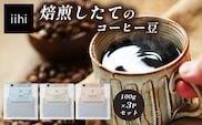 【ふるさとロースターが焙煎したてをお届け！】iihiコーヒー コーヒー豆 100g×3P セット 常温｜コーヒー 珈琲 コーヒー豆 ブレンドコーヒー 自家焙煎 詰め合わせ 飲み比べ 中深煎り 焙煎 ギフト プレゼント NORM&HANCE株式会社 宮崎県 諸塚村 NH-04