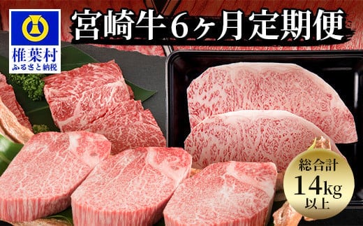 【定期便 6回】受賞歴多数!! 宮崎牛【バラエティ定期便】【ヒレステーキ・ロースステーキ・肩ローススライス・ウデスライス・モモ焼肉】 MT-52