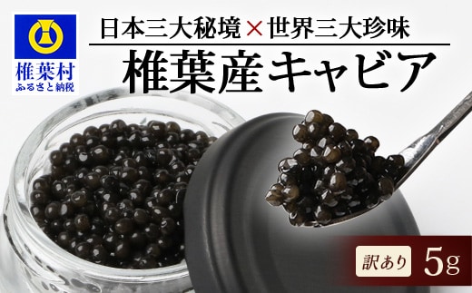 クリスマスにはキャビア！！【12月20日発送可能！】【訳あり】HEIKE CAVIAR 5ｇ 【宮崎県 椎葉村】【世界三大珍味×日本三大秘境】 キャビア 魚卵 国産 キャビア 訳あり SZ-115