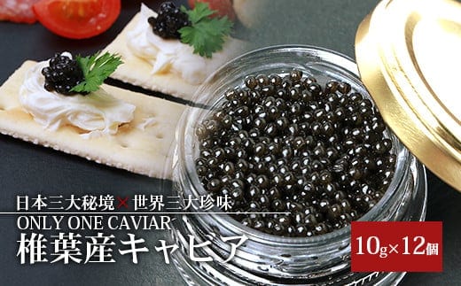 HEIKE CAVIAR 10ｇ×12箱 【合計120g】【世界三大珍味×日本三大秘境】 SZ-113