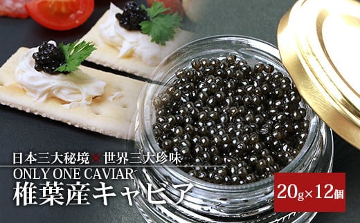 HEIKE CAVIAR 20ｇ×12箱 【合計240g】【世界三大珍味×日本三大秘境】 SZ-114