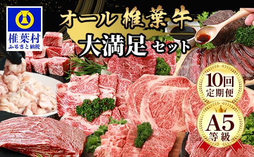 【 定期便 全10回 】 10ヶ月連続でお届け！ 牛肉 オール椎葉牛大満足セット 総重量 5,180g 【 日本三大秘境 椎葉村 育ちの黒毛和牛 】 TK-105