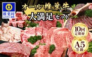 【 定期便 全10回 】 10ヶ月連続でお届け！ 牛肉 オール椎葉牛大満足セット 総重量 5,180g 【 日本三大秘境 椎葉村 育ちの黒毛和牛 】 TK-105