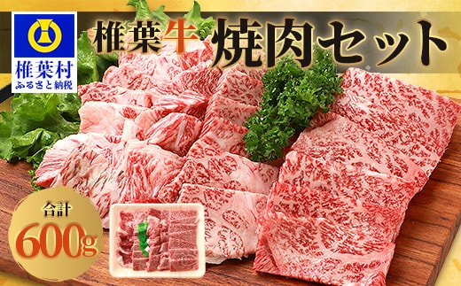 宮崎県産 椎葉牛 焼肉セット 600g A5等級指定 TK-23
