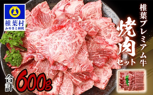 宮崎県産 椎葉プレミアム牛 焼肉セット 600g TK-40