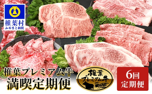 【定期便6回】総重量3.1kg 椎葉プレミアム牛満喫定期便≪ステーキ・すき焼き・しゃぶしゃぶ・焼き肉≫ TK-56