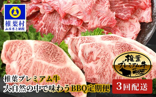 【定期便3回】総重量1.8kg 椎葉プレミアム牛 大自然の中で味わうBBQ定期便≪焼き肉・ステーキ≫ TK-60