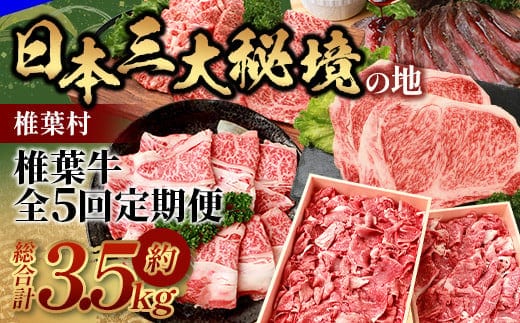 【定期便5回】総重量3.5kg！椎葉牛オールスター定期便≪ローストビーフ・切り落とし・焼き肉・スライス・ステーキ≫【A5等級指定 黒毛和牛】 TK-62