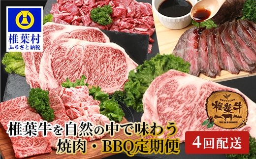 【定期便4回】総重量2.4kg！椎葉牛 大自然の中で味わう焼肉・BBQ定期便≪焼き肉・ステーキ・切り落とし・ローストビーフ≫【A5等級指定 黒毛和牛】 TK-63