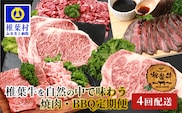 【定期便4回】総重量2.4kg！椎葉牛 大自然の中で味わう焼肉・BBQ定期便≪焼き肉・ステーキ・切り落とし・ローストビーフ≫【A5等級指定 黒毛和牛】 TK-63