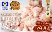 宮崎県産 椎葉牛 ぷりぷりホルモン（小腸）もつ鍋・焼肉用 200g×4P（800g） TK-82