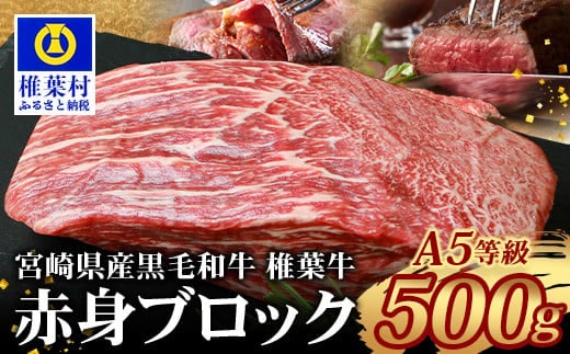 【日本三大秘境の黒毛和牛】宮崎県産 椎葉牛 赤身ももブロック 500g A5等級指定 TK-81