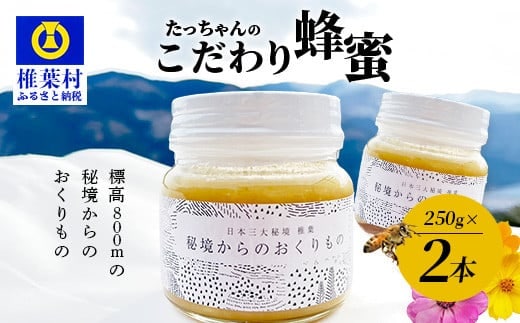 【無添加 非加熱】標高800m たっちゃんのこだわり蜂蜜【250g×2本】 TN-02
