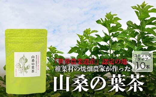 【世界農業遺産の産物】焼畑農家がつくった山桑の葉茶 スティックタイプ【桑茶】 YS-8