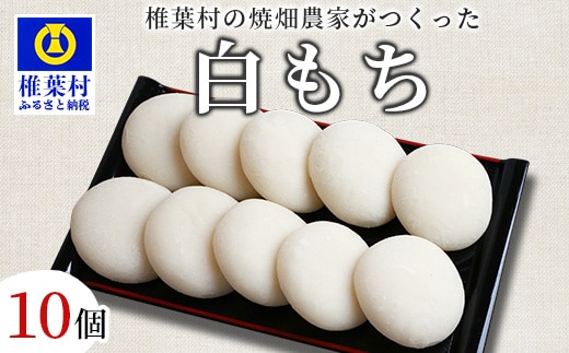 焼畑農家がつくった 白もち 10個【日本三大秘境の地「椎葉村」からお届け】 YS-48