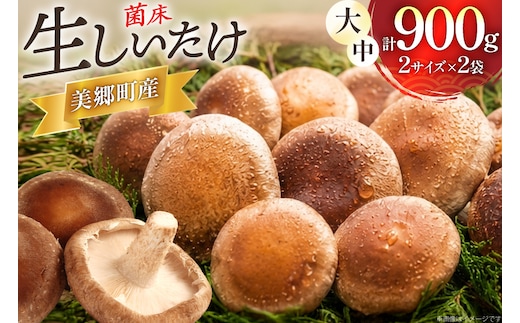生しいたけ セット 約300g× 2袋 約150g× 2袋 計4袋 約900g [杉本きのこ園 宮崎県 美郷町 31bs0001] 菌床 椎茸 しいたけ シイタケ きのこ キノコ お鍋 天ぷら 炒め物 おかず