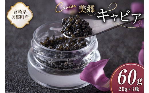 美郷 キャビア チョウザメ 60g [宮崎キャビア 宮崎県 美郷町 31az0015] きんかん キンカン 金柑 フレーバー 冷凍 宮崎県産