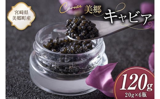 美郷 キャビア チョウザメ 120g [宮崎キャビア 宮崎県 美郷町 31az0018] きんかん キンカン 金柑 フレーバー 冷凍 宮崎県産