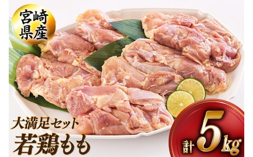 鶏肉 もも肉 宮崎県産 若鶏 もも 1kg × 5 計5kg [アグリ産業匠泰 宮崎県 美郷町 31be0061] 肉 鳥肉 とりにく 冷凍 小分け 個包装 モモ 鶏もも 鶏モモ