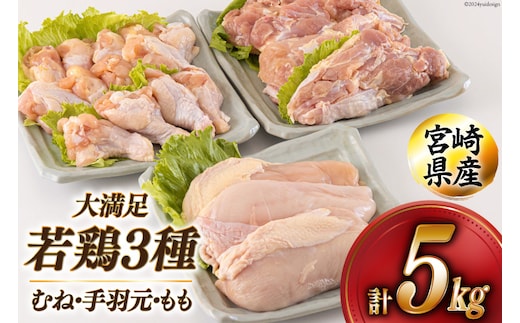 若鶏 むね 手羽元 もも 合計5kg 1kg包装 [アグリ産業匠泰 宮崎県 美郷町 31be0045] 小分け 鶏肉 冷凍 送料無料 炒め物 煮込み 調理 料理 大容量 真空 胸 ジューシー ヘルシー 唐揚げ からあげ チキン南蛮 照り焼き 甘辛煮 とり天 ヤンニョム チキン 普段使い 便利 セット 詰め合わせ 3種