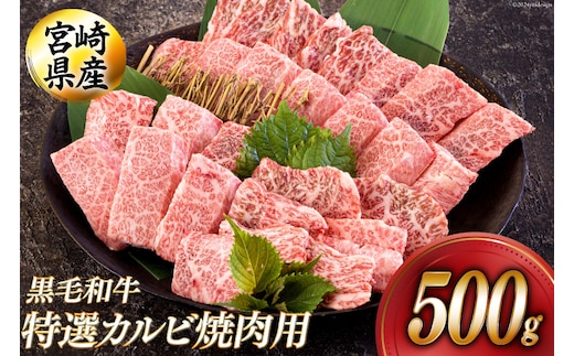 黒毛和牛 特選 カルビ 焼肉 500g [アグリ産業匠泰 宮崎県 美郷町 31be0049] 牛肉 炒め BBQ バーベキュー キャンプ 普段使い 調理 おかず 料理 国産 送料無料 パック 厳選 カルビ丼 クッパ 焼肉丼 スープ チャーハン 生春巻き マリネ 照り焼き 甘辛炒め チンジャオロース 青椒肉絲