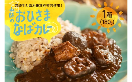 カレー レトルト 山師のおひさま なばカレー 宮崎牛 原木椎茸 使用 180g [HUTTE 宮崎県 美郷町 31ao0025] 常温保存 カレー 欧風カレー 常備食 保存食 防災 備蓄 非常食 防災食 簡単調理