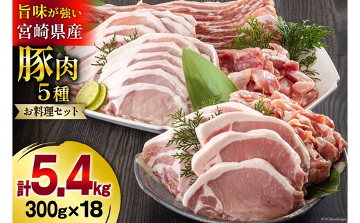 豚肉 小分け 切り落とし ロース 豚バラ スライス お料理セット 計5.4kg [甲斐精肉店 宮崎県 美郷町 31as0096] 肉 冷凍 宮崎県産 豚 ウデ 腕 切落し 詰め合わせ 真空包装 うす切り 薄切り