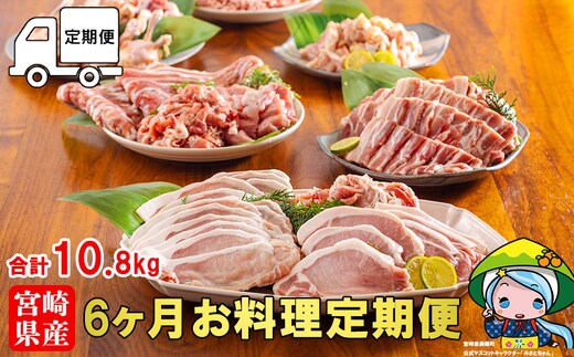 【2月発送】6回 定期便 豚 鶏肉 小分け お料理 セット 計10.8kg [甲斐精肉店 宮崎県 美郷町 31as0115-2gatsu] 肉 毎月 お届け 冷凍 宮崎県産 国産 若鶏 鳥 切落し ロース 生姜焼き とんかつ ひき肉 ミンチ もも カット バラ スライス 薄切り カレー