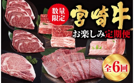 6回 定期便 宮崎牛 ロースステーキ 肩焼肉 ワンポンドステーキ もも バラ すき焼き 肩ロース 約3kg [日本ハムマーケティング 宮崎県 美郷町 31bd0024] 冷凍 送料無料 国産 黒毛和牛 A5 A4等級 ブランド 牛肉 霜降り バーベキュー キャンプ BBQ 宮崎県産 母の日 父の日 プレゼント ギフト 贈り物 6ヶ月 セット