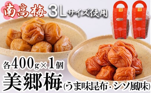 南高梅 梅干し 美郷梅 昆布 シソ風味 セット 各400g×1 3Lサイズ A級品 [農林産物直売所 美郷ノ蔵 宮崎県 美郷町 31ab0114] 国産 セット 詰め合わせ 宮崎県産 美郷産 常温 送料無料 贈答品 父の日 母の日 プレゼント ギフト 食べ比べ 2種 贈り物 おやつ お菓子 調理 おかず 料理 普段使い
